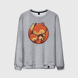 Мужской свитшот Fox family