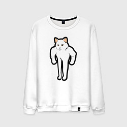 Мужской свитшот Кот качок