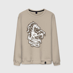 Мужской свитшот Конь - дикая энергия