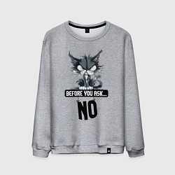 Мужской свитшот Прежде чем ты спросишь - нет