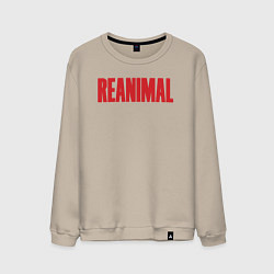 Свитшот хлопковый мужской Reanimal logo, цвет: миндальный