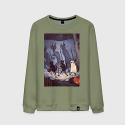 Свитшот хлопковый мужской Коты на хэллоуин, цвет: авокадо