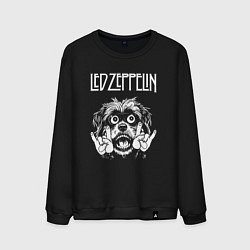 Свитшот хлопковый мужской Led Zeppelin rock dog, цвет: черный