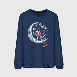 Мужской свитшот Лунный бассейн