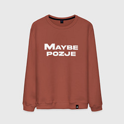 Свитшот хлопковый мужской Maybe pozje, цвет: кирпичный