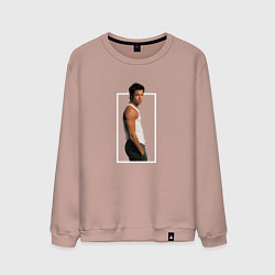 Мужской свитшот Красавчик Брэд Питт