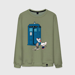 Свитшот хлопковый мужской Пинки и Брейн возле тардиса, цвет: авокадо