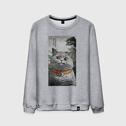 Мужской свитшот Мемный кот в японском стиле