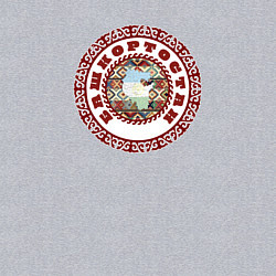 Свитшот хлопковый мужской Орнаменты Башкирии, цвет: меланж — фото 2