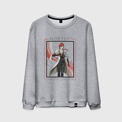 Мужской свитшот Mortefi Dragons Breath