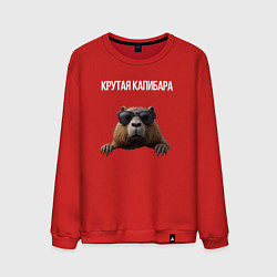 Мужской свитшот Выглядывающая капибара