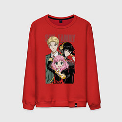 Мужской свитшот Семья шпиона аниме