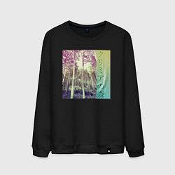 Мужской свитшот Крымский лес японскими иероглифами