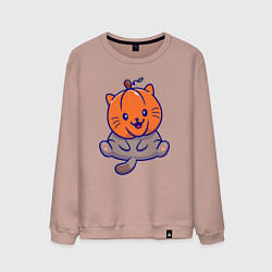 Мужской свитшот Котик и тыква