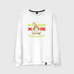 Мужской свитшот Мы в полной жопе