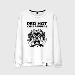 Свитшот хлопковый мужской Red Hot Chili Peppers - rock dog, цвет: белый