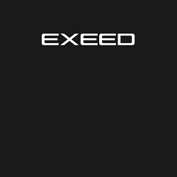 Свитшот хлопковый мужской Exeed - белая надпись, цвет: черный — фото 2