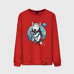 Мужской свитшот Щенок бультерьера на ракете в космосе