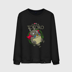 Мужской свитшот Мой сосед Тоторо доктор