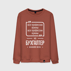 Свитшот хлопковый мужской Бухгалтер нужнее всех, цвет: кирпичный