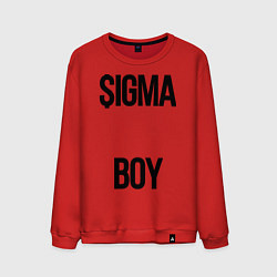 Мужской свитшот Сигма