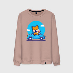Мужской свитшот Котик водитель