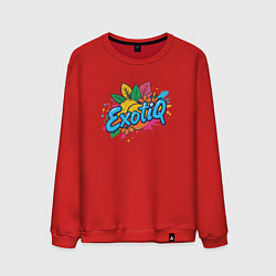 Мужской свитшот Надпись экзотика