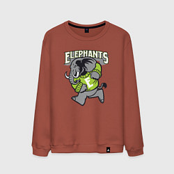 Мужской свитшот Elephants run