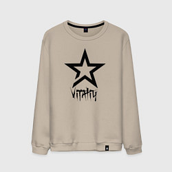 Мужской свитшот Vitaliy - star