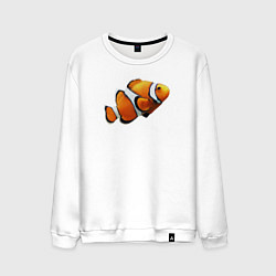 Свитшот хлопковый мужской Рыбка попугай, цвет: белый