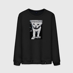 Мужской свитшот Остерегайтесь эмо - котят