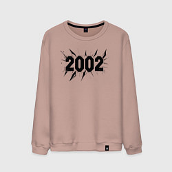 Мужской свитшот Разрыв времени 2002