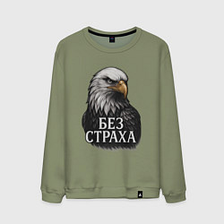 Свитшот хлопковый мужской Орел - без страха, цвет: авокадо