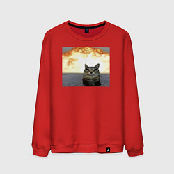 Свитшот хлопковый мужской Кот со взрывом - silly cat meme, цвет: красный