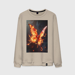 Свитшот хлопковый мужской Огненная бабочка, цвет: миндальный