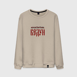 Мужской свитшот Аналитик ведун