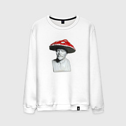 Мужской свитшот Ленин гриб
