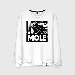 Мужской свитшот Крот в стиле граффити