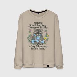 Мужской свитшот Спокойный Енот