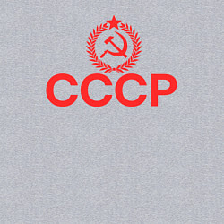 Свитшот хлопковый мужской Мы из страны СССР, цвет: меланж — фото 2