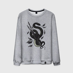 Свитшот хлопковый мужской Змея и кисти художественные, цвет: меланж