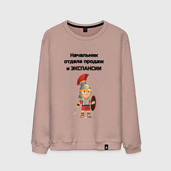 Свитшот хлопковый мужской Начальник отдела продаж и экспансии, цвет: пыльно-розовый
