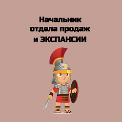 Свитшот хлопковый мужской Начальник отдела продаж и экспансии, цвет: пыльно-розовый — фото 2