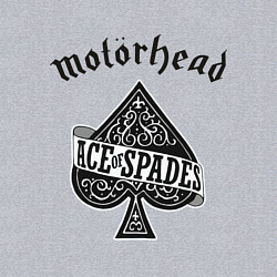 Свитшот хлопковый мужской Motorhead: Ace of spades, цвет: меланж — фото 2