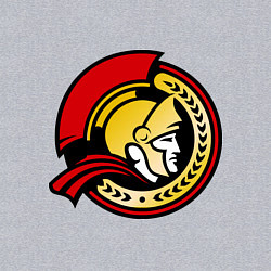 Свитшот хлопковый мужской HC Ottawa Senators Alternative, цвет: меланж — фото 2