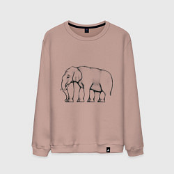 Мужской свитшот Сколько ног у слона