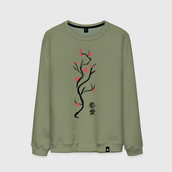 Свитшот хлопковый мужской Весна. Любовь, цвет: авокадо