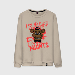 Мужской свитшот I Survived Five Night