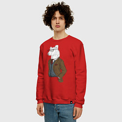Свитшот хлопковый мужской Медведь в пиджаке, цвет: красный — фото 2