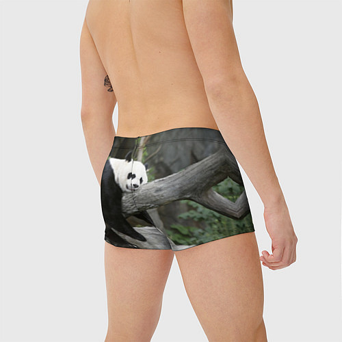 Мужские плавки Большая уставшая панда / 3D-принт – фото 4